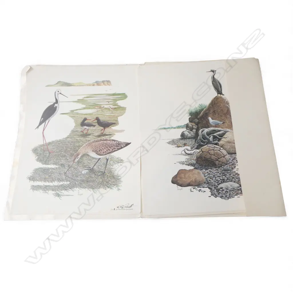 SEASHORES OF NEW ZEALAND PRINTS some editioned BY R.H. Cometti 430x340mm Image 1++