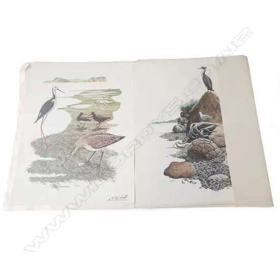 SEASHORES OF NEW ZEALAND PRINTS some editioned BY R.H. Cometti 430x340mm