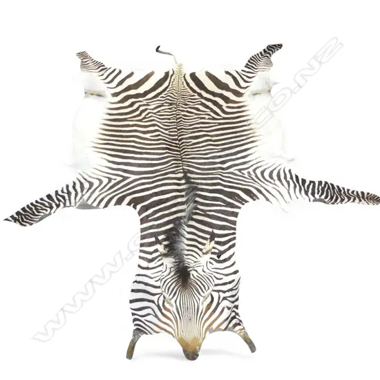 ZEBRA SKIN 3100x2400mm APPROX