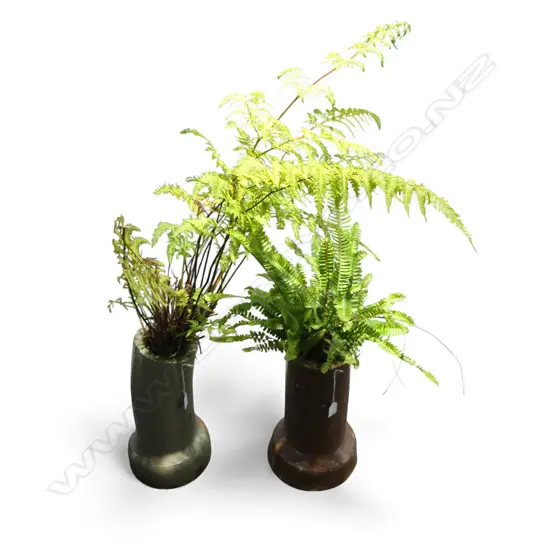 2 N.Z. COLONIAL PIPES w. PLANTED FERNS 