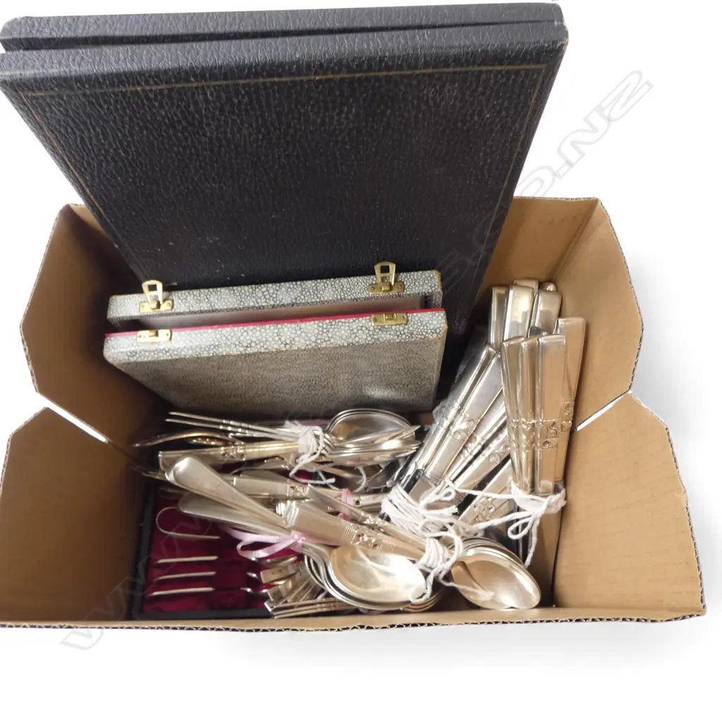 ASST. CUTLERY some cased Image 1++