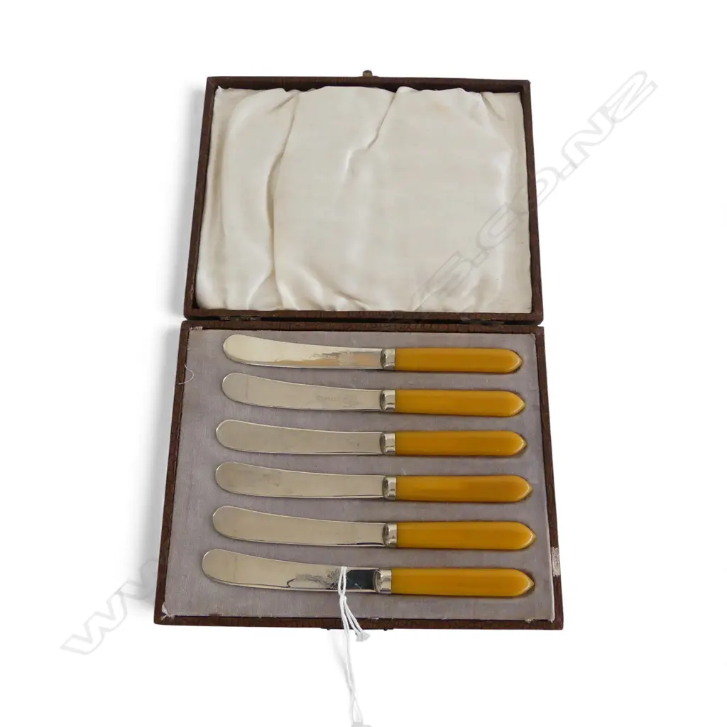 6 VINTAGE PATE KNIVES L.160mm, CASED Image 1++