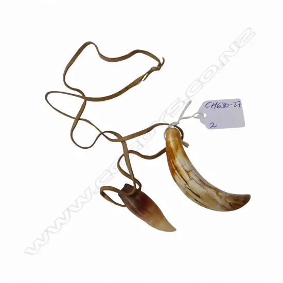 Two David Tuart small polished whale tooth pendants. Drilled suspension holes. 1 with acrylic filled end. L's.78 & 48mm