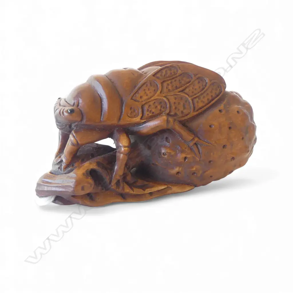 CARVED WOOD NETSUKE CICADA L.65mm Image 1++