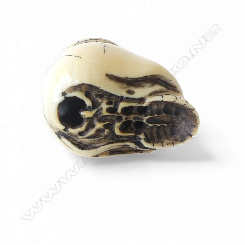 JAPENSE IVORY NETSUKE skull & snake, good patina H.33mm Image 1++