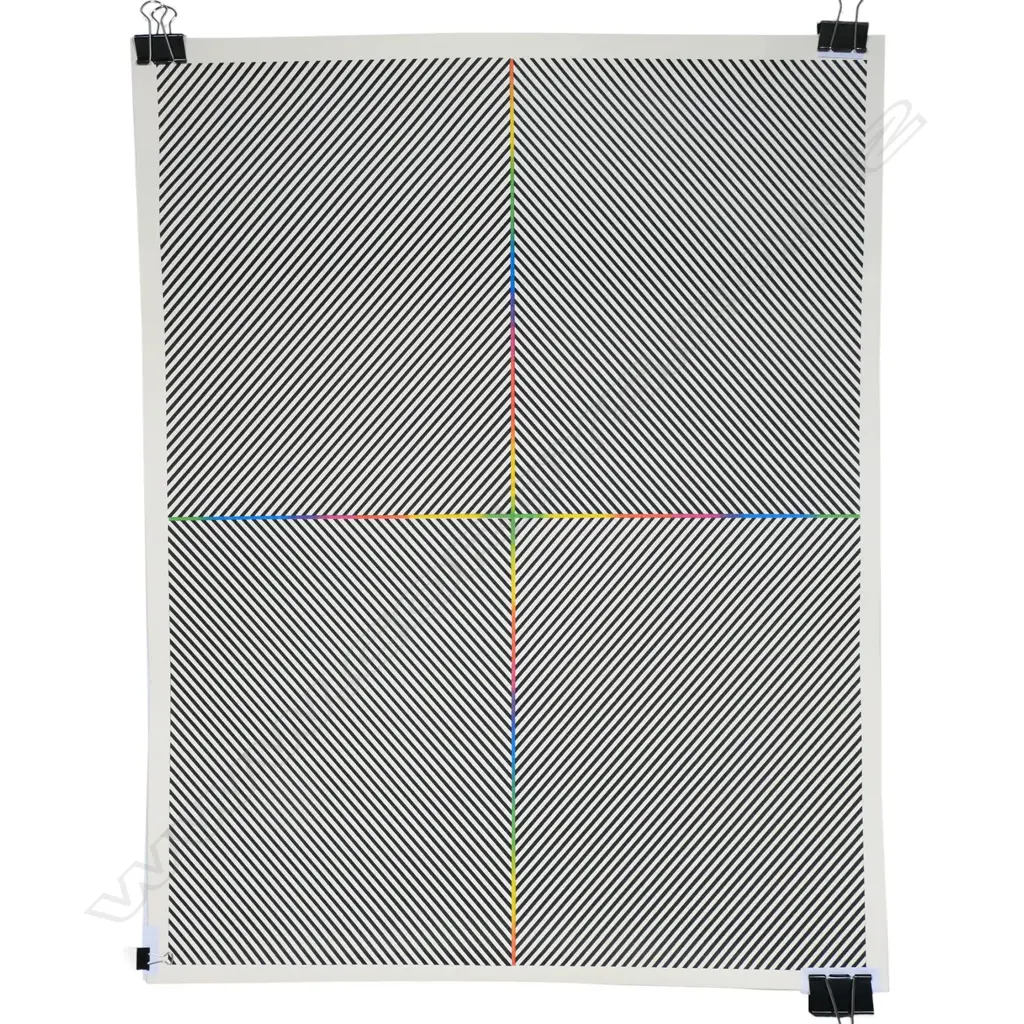 ARTIST UNKNOWN, OPTICAL ILLUSION SCREENPRINT, 640 x 510mm Image 1++