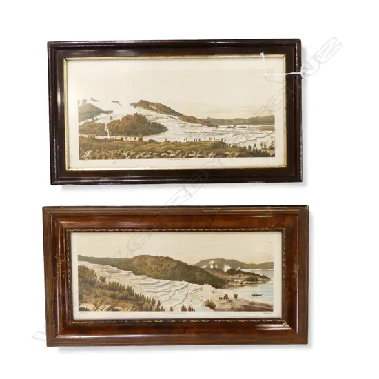 2 NZ PINK & WHITE TERRACES PRINTS 200x400mm