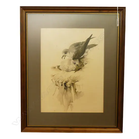 RAYMOND CHING FRAMED PRINT 345x260mm