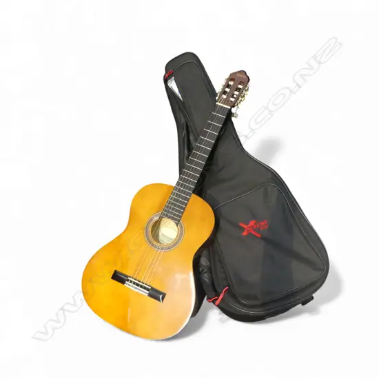 ACOUSTIC GUITAR + SOFT BAG + NEW PKT STRINGS