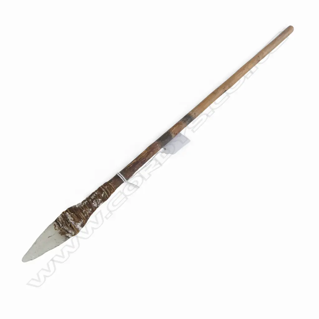 PACIFIC ARROW w. GLASS HEAD L.495mm Image 1++