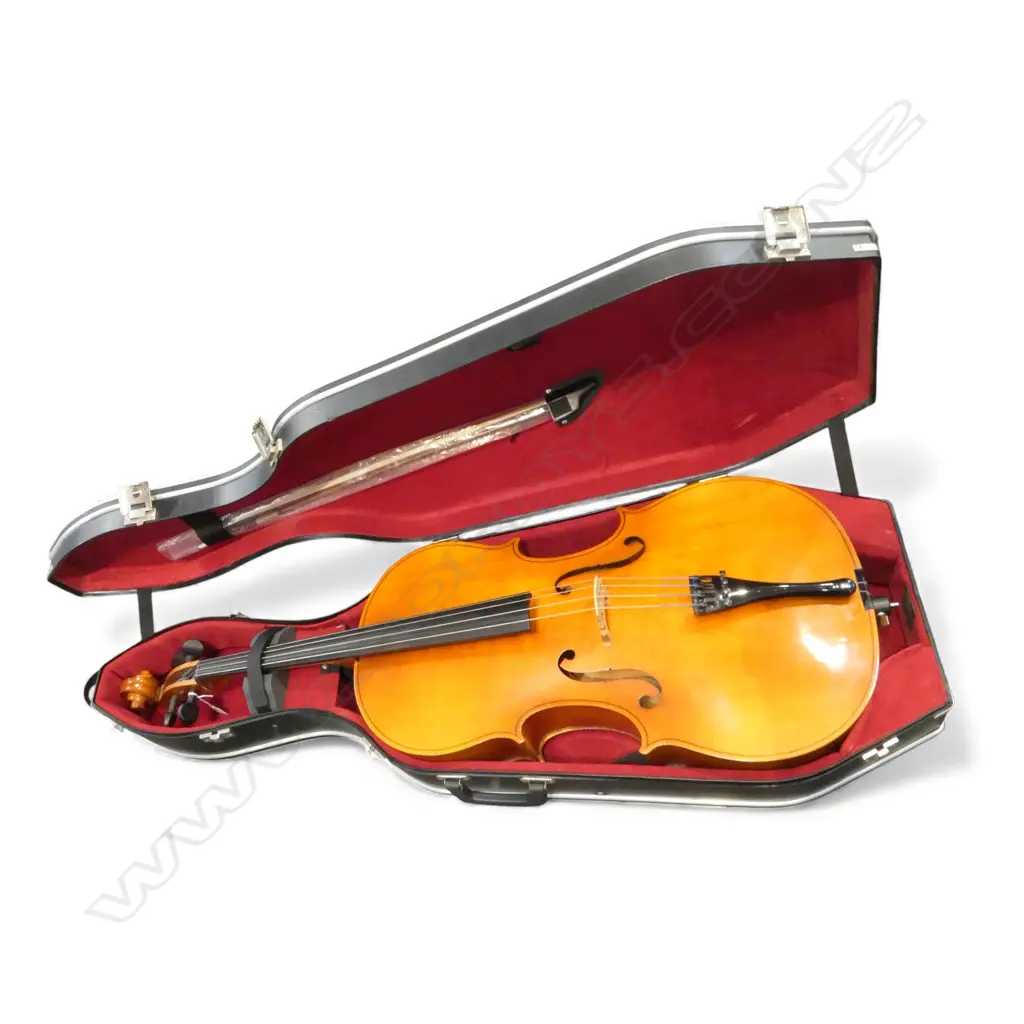CELLO IN CASE  Image 1++