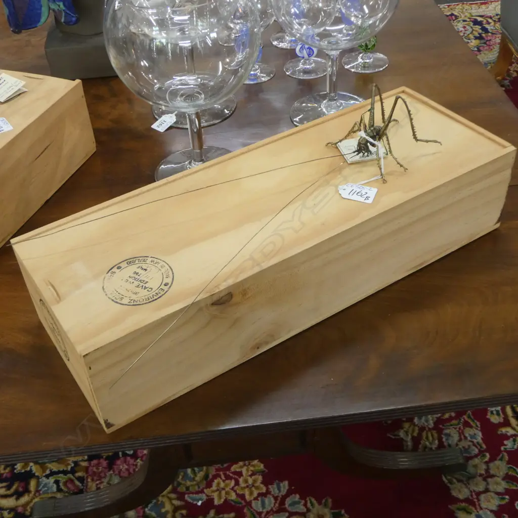 KEN AUTON BRONZE FEMALE TREE WETA Ed. 244/500 L.225mm Image 1++