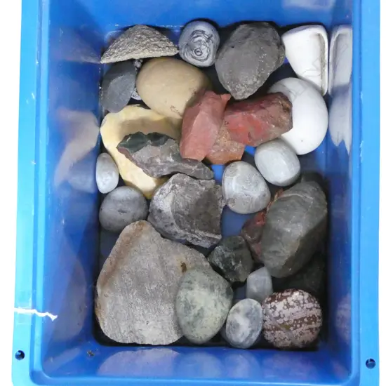 BOX OF ROCKS: includes ventifacts (wind sculpted) + river worn + coloured etc
