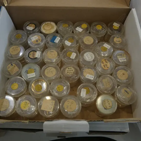 BOX OF WATCH FACES VARIOUS SIZES