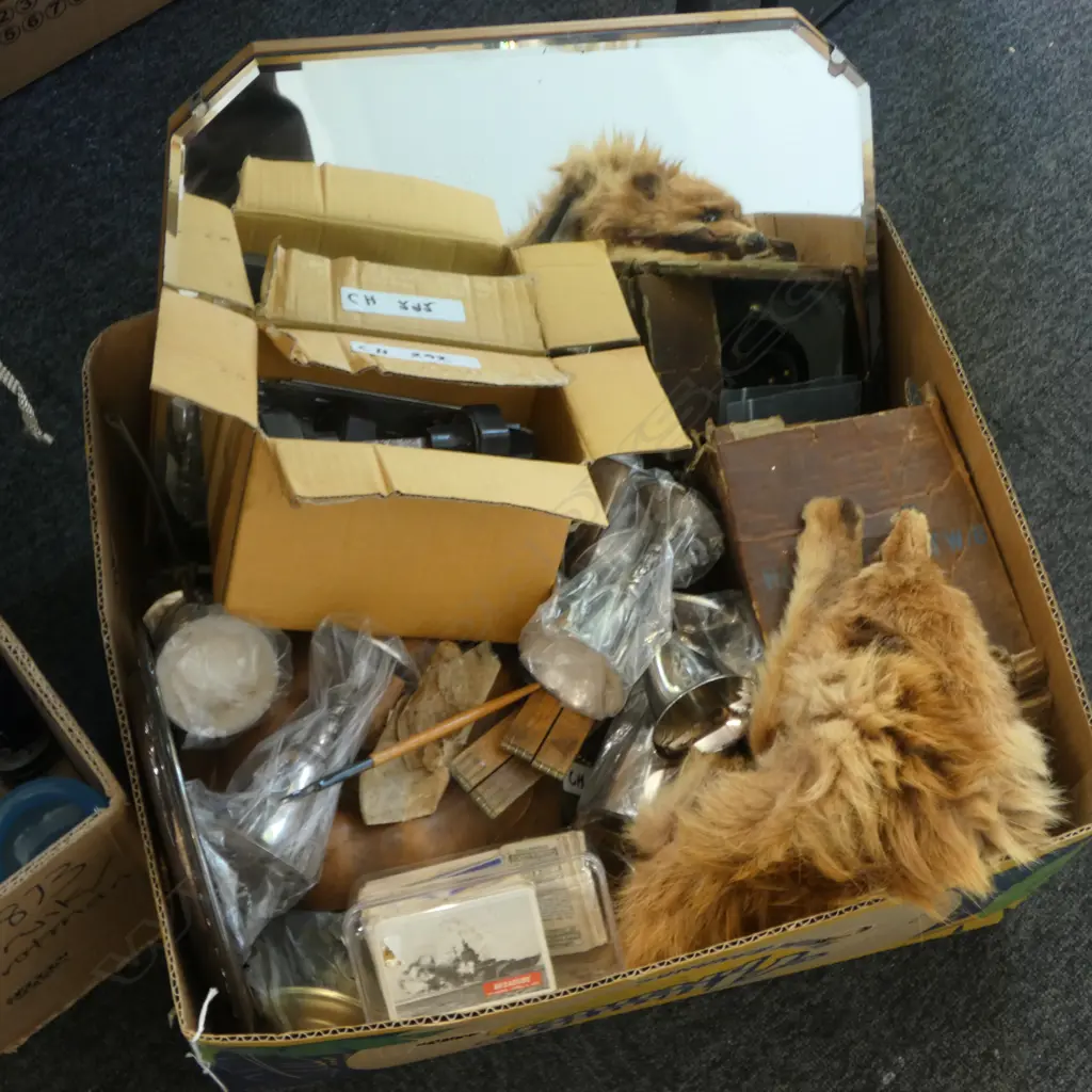 GAMES, FUR STOLE (AF), HANSOM LIGHT, WOODEN PUMPKIN ETC Image 1++