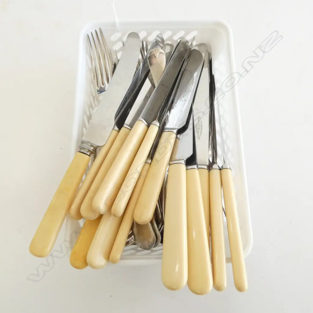 CUTLERY INCL. IVORINE 'BONE' HANDLED KNIVES Image 1++