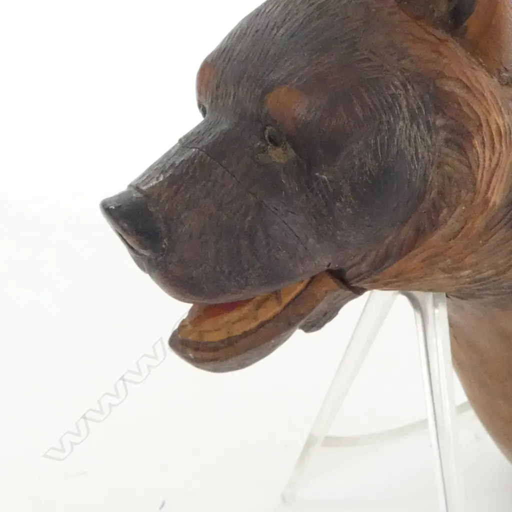 OLD CARVED BLACK FOREST WOODEN BEAR HEAD NUTCRACKER H.190mm CATALOGUE ALTERATION NOTE: crack to top of snout Image 1++