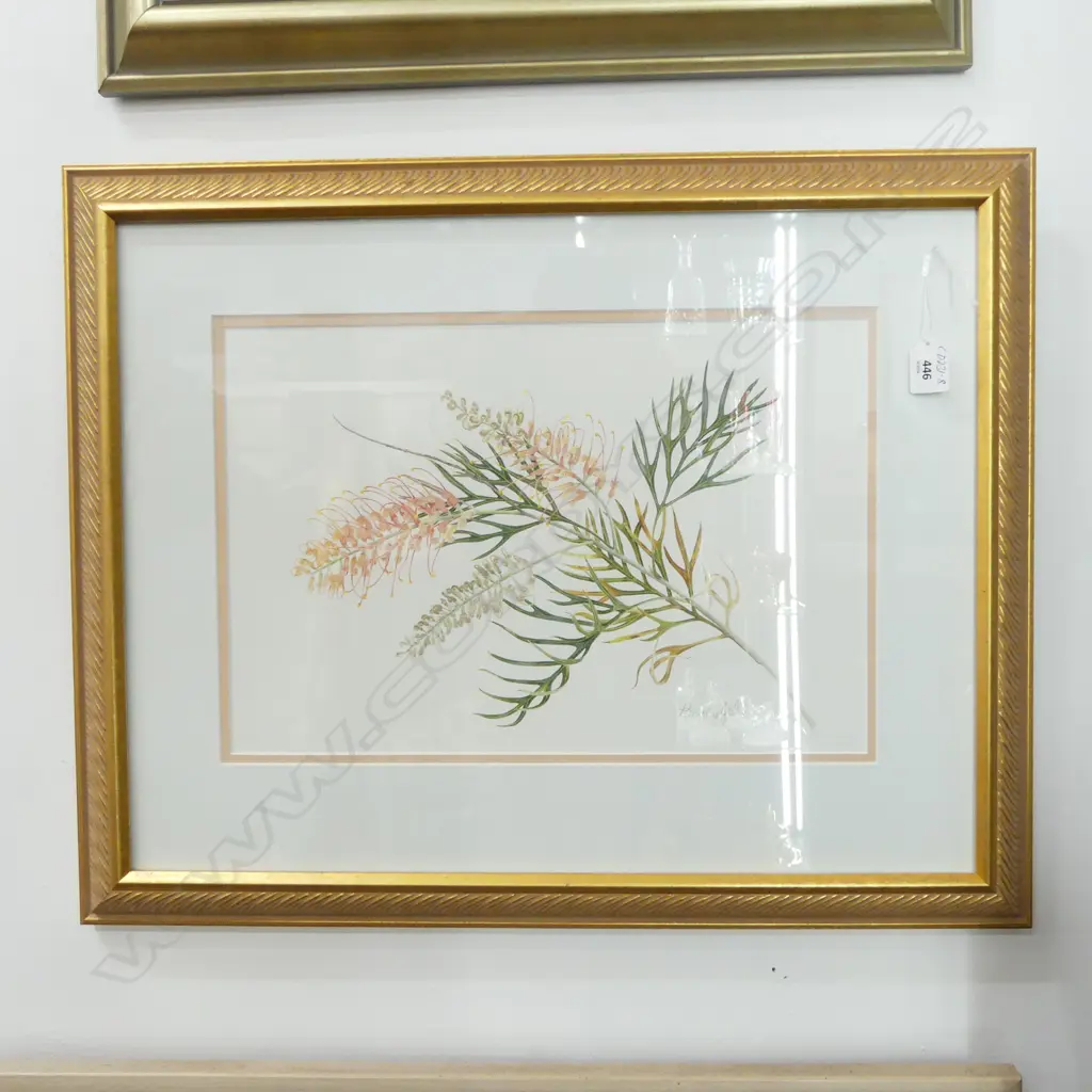 Beverley Irwin (Australian) 'Grevillea Superb' botanical watercolour Signed 285 x 425mm. Gilt framed Image 1++