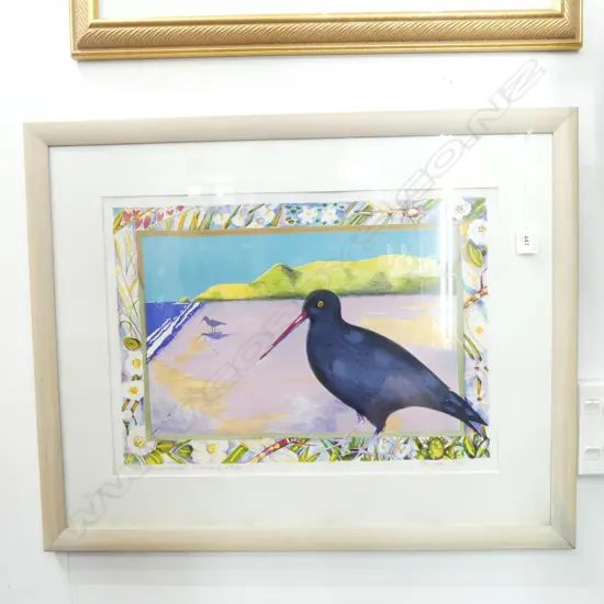 PAMELA WOLFE 'OYSTERCATCHER KAREKARE' 28/54 360x495mm