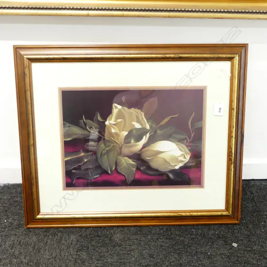 Print of white flowers 250 x 350mm in part gilt frame under glass