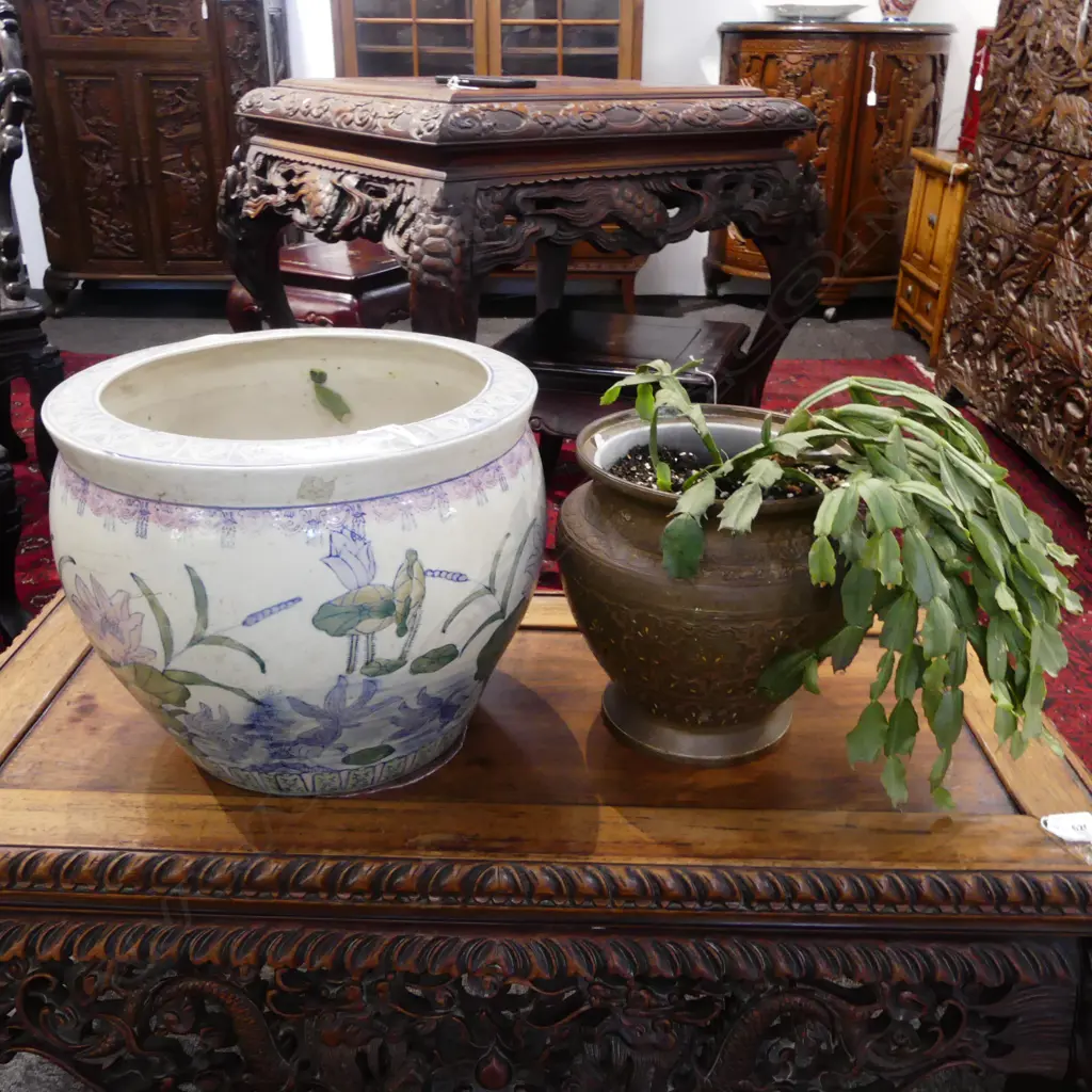 PLANTER & CACTUS Image 1++
