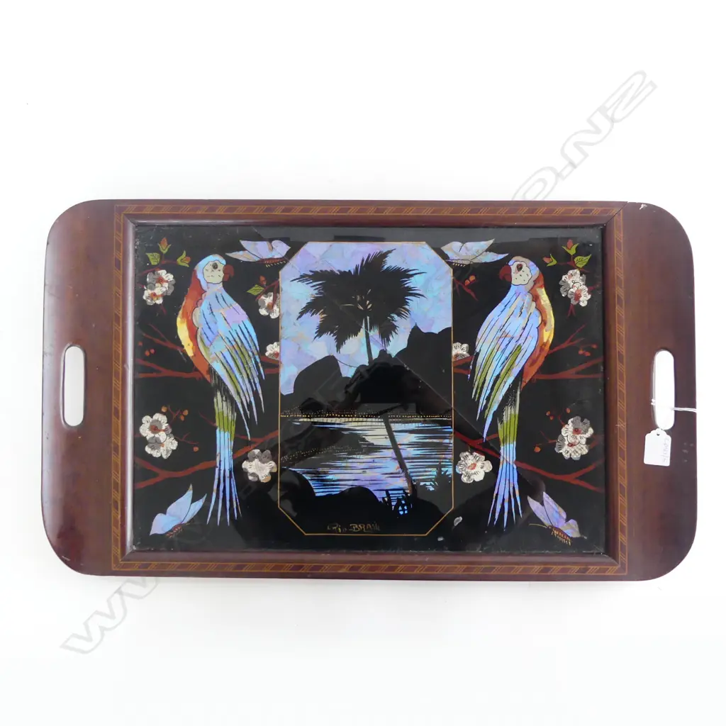 VINTAGE BUTTERFLY WING TRAY 'RIO - BRAZIL' 390x655mm GLASS CRACKED Image 1++