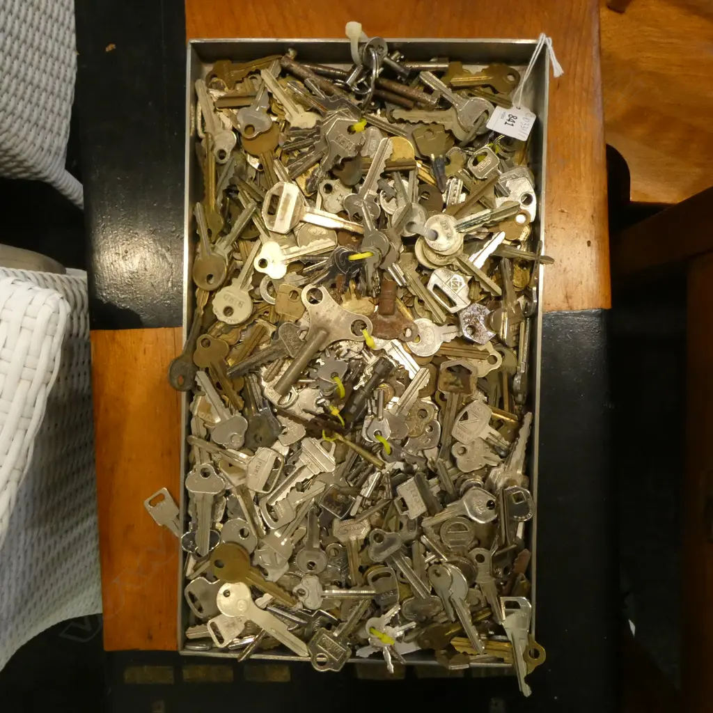 TRAY OF ASST. KEYS Image 1++