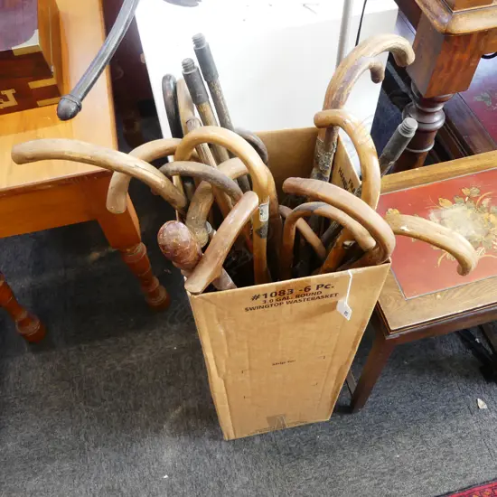 ASST. WALKING STICKS
