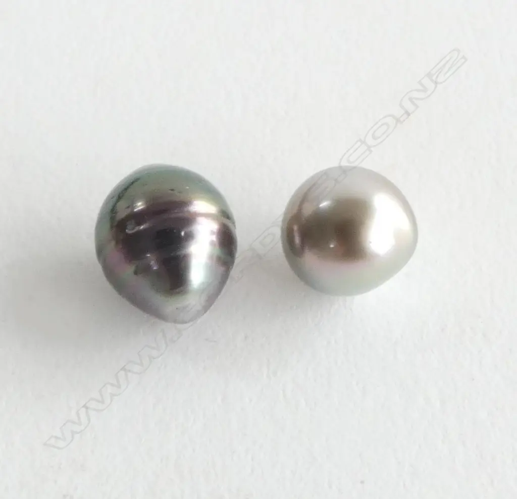 2 BLACK CULTURED PEARLS  Image 1++