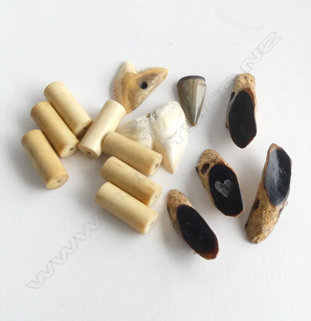 BAG OF SHARK'S TEETH + IVORY CYLINDER BEADS + BLACK BEADS  Image 1++