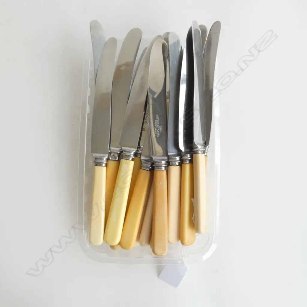 16 VINTAGE ‘BONE’ HANDLE DINNER KNIVES ASSTD. SHEFFIELD Image 1++
