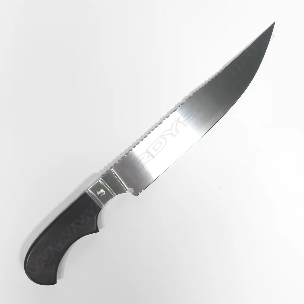 CUSTOM REDDIEX KNIFE. SERRATED SPINE DETAIL & PAUA TOPPED RIVETS. L.300mm Image 1++