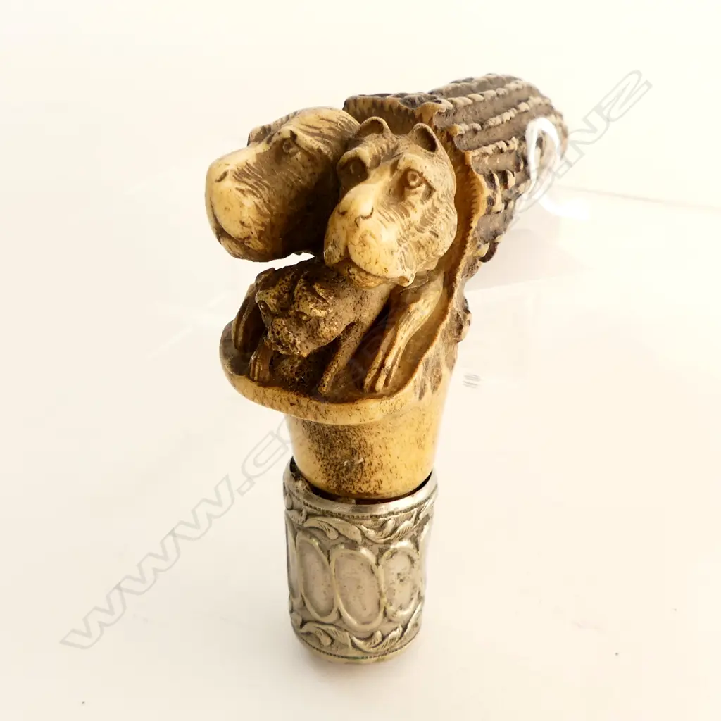 c1900 CARVED ANTLER WALKING STICK HANDLE 2 hunting DOGS + puppy. Silver plate fitting Image 1++