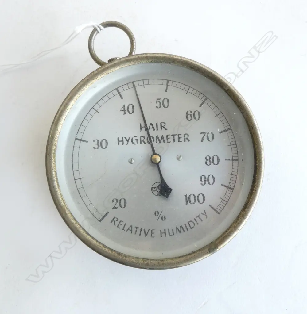 VINTAGE RELATIVE HUMIDITY HAIR HYGROMETER DIA100MM Image 1++
