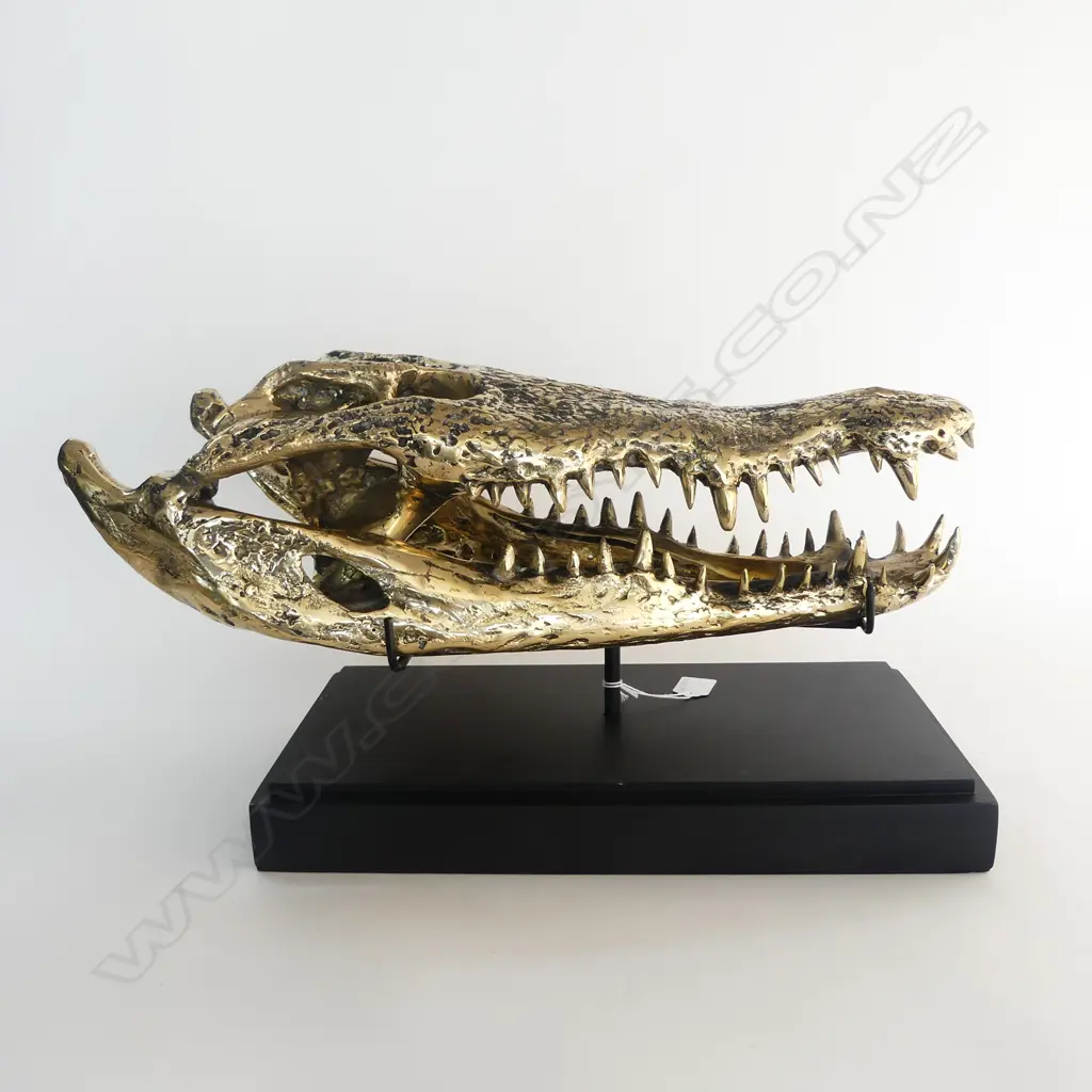 BRONZE CROCODILE SKULL ON STAND 500x210x280mm Image 1++