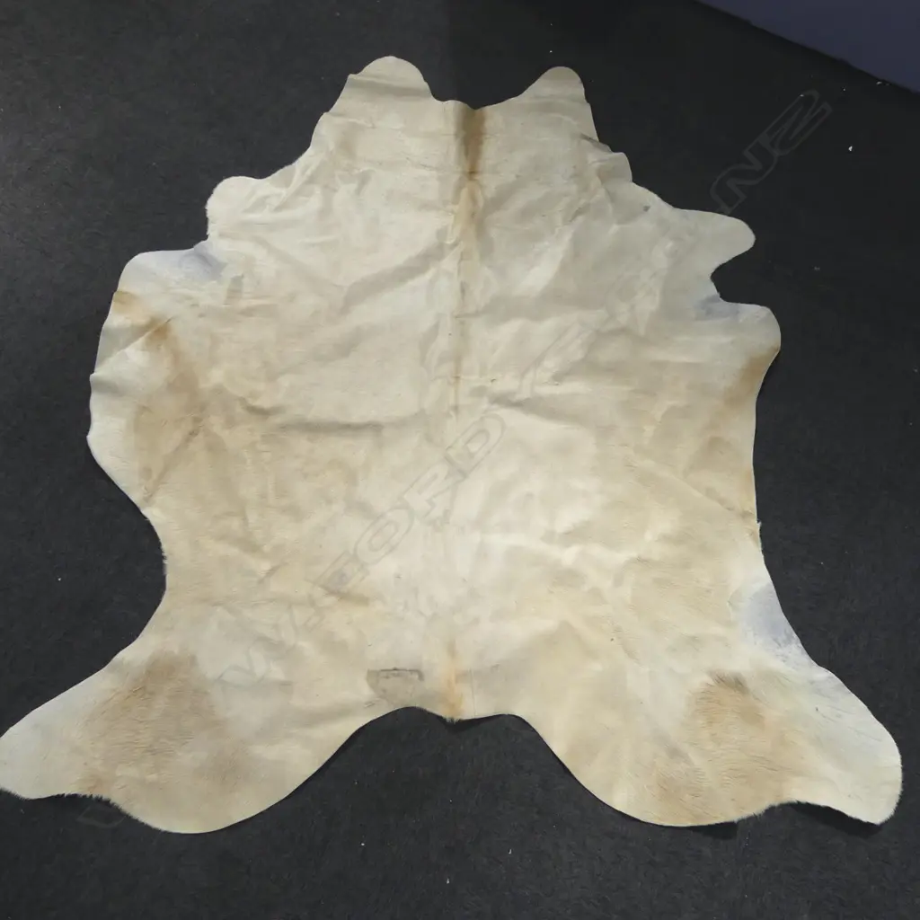 LG PALE COW HIDE RUG 2350x1950mm Image 1++