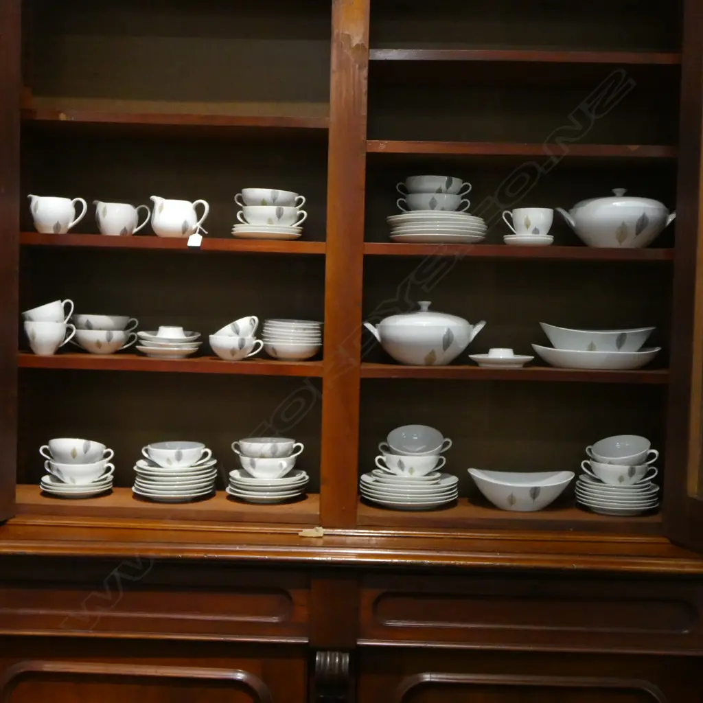 ARZBERG PART DINNER SET Image 1++