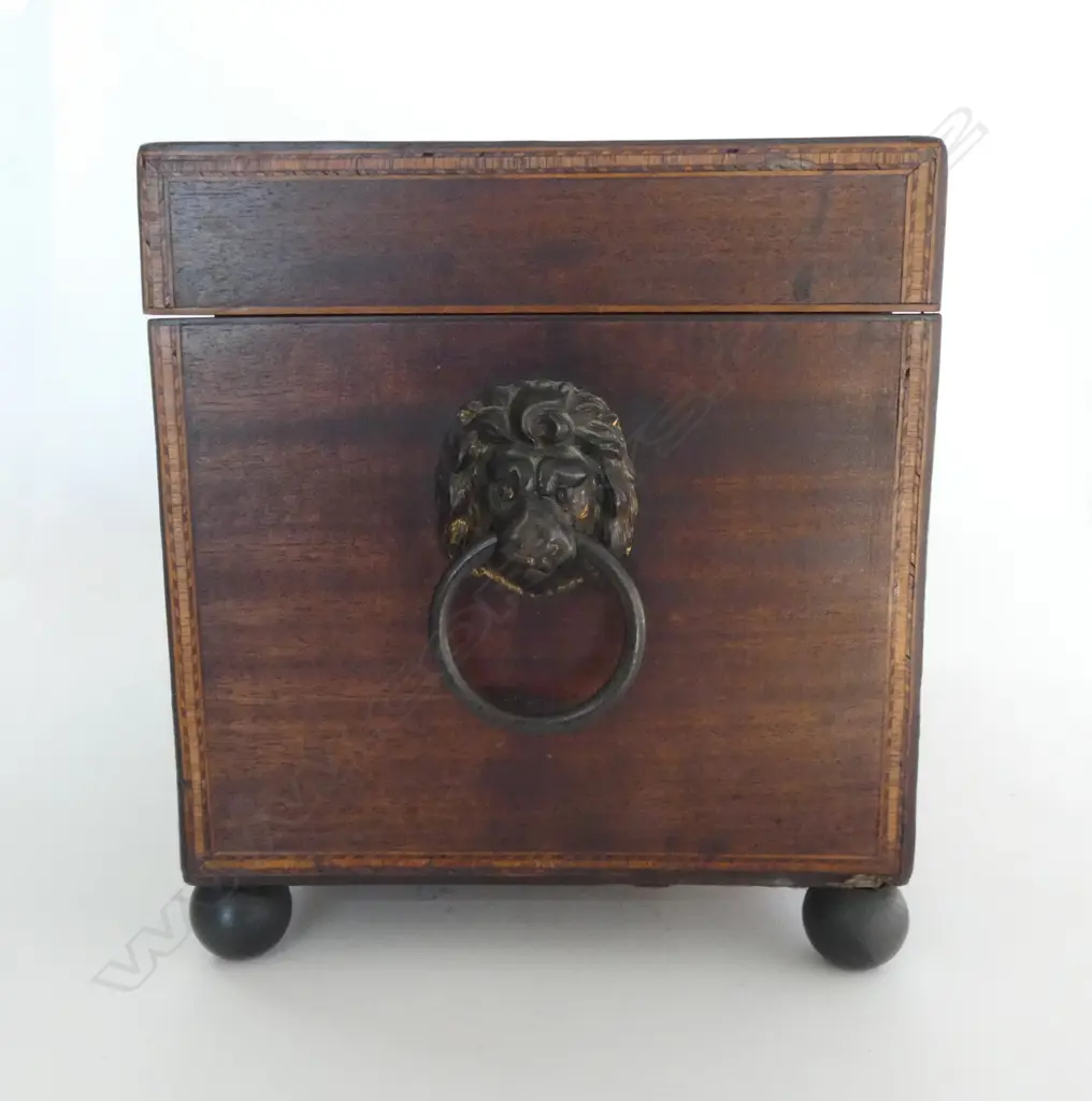 ANTIQUE MAHOGANY TEA CADDY W.350mm Image 1++