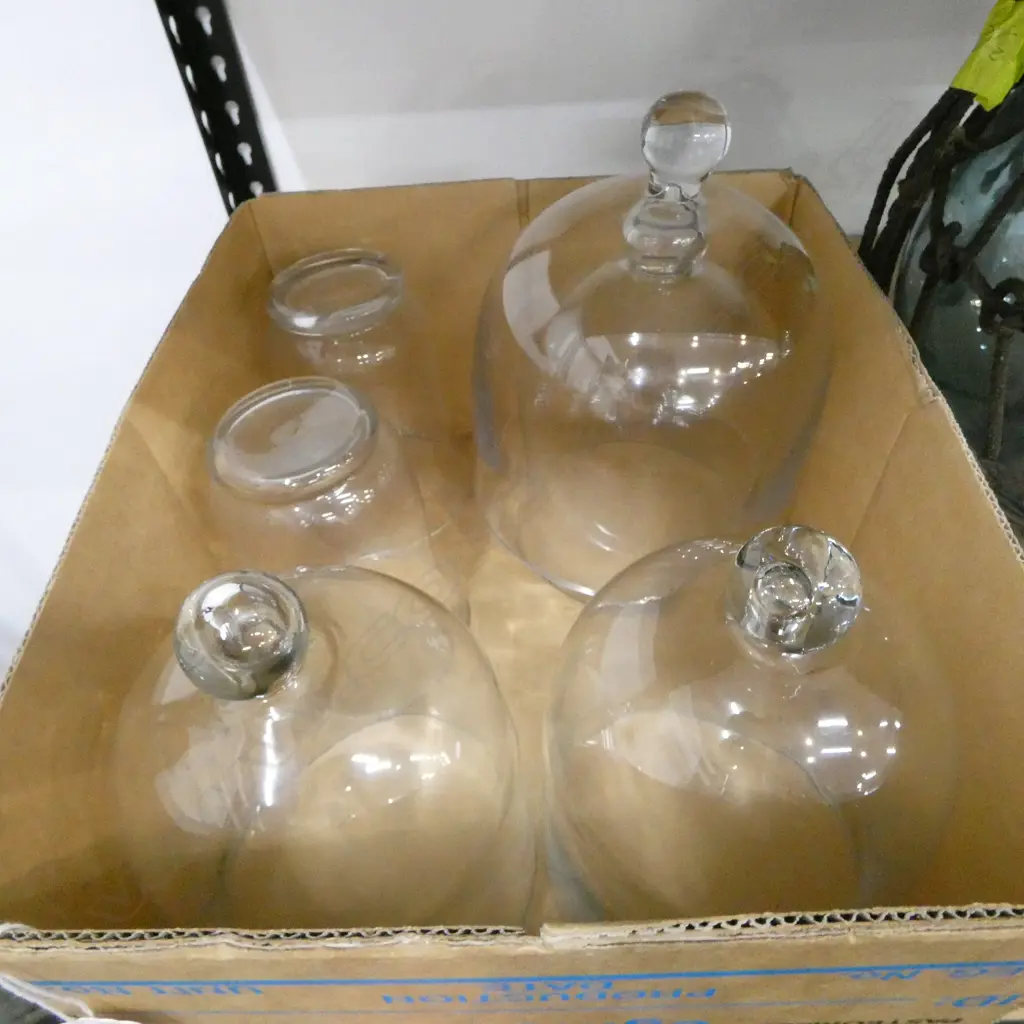 4 GLASS CLOCHE & 2 GLASS VASES Image 1++