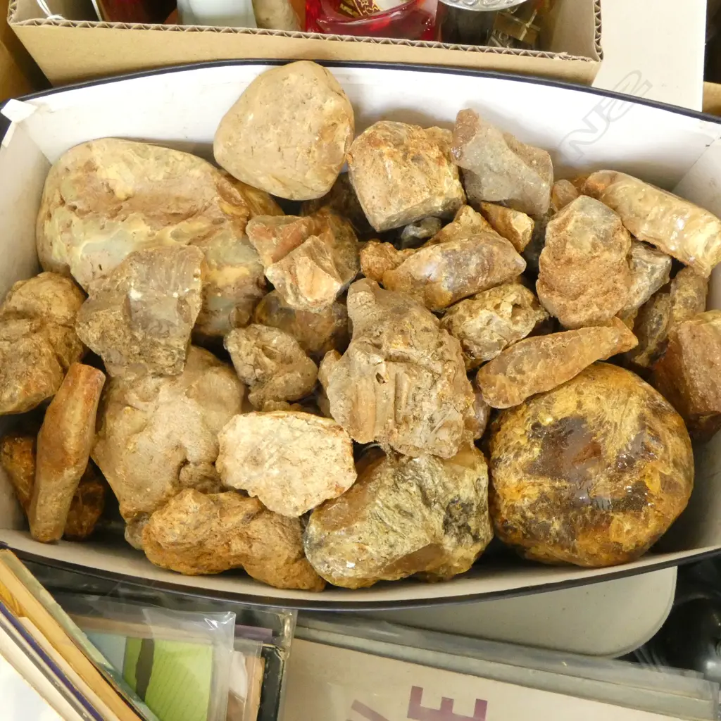COLLECTION OF  KAURI GUM Image 1++