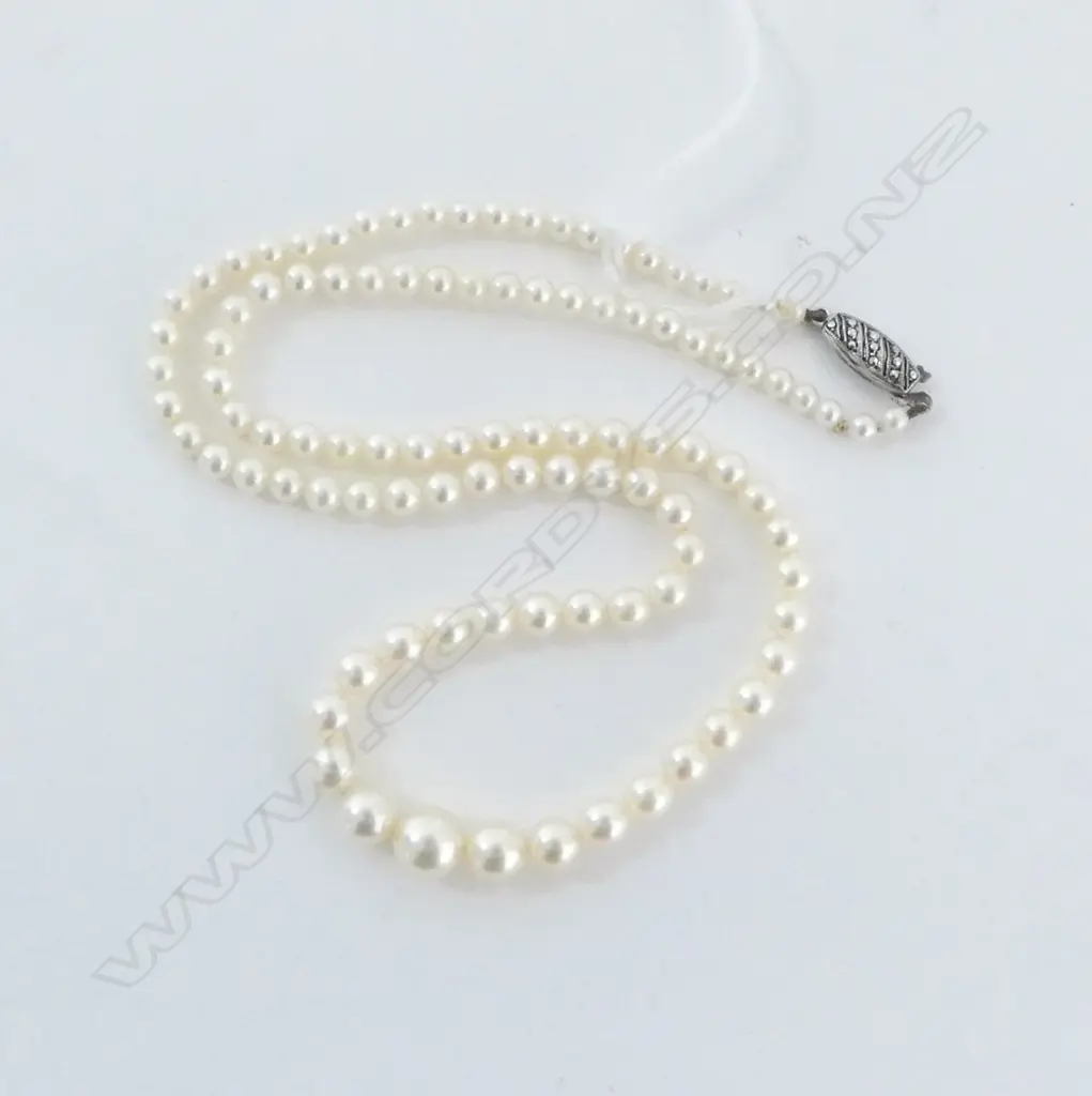 STRING GRADUATED CREAM CULTURED PEARLS, GOOD LUSTRE, SILVER CLASP, L.440mm Image 1++