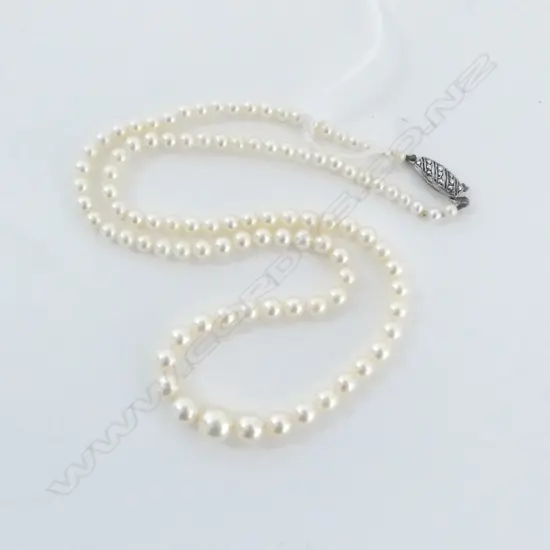 STRING GRADUATED CREAM CULTURED PEARLS, GOOD LUSTRE, SILVER CLASP, L.440mm