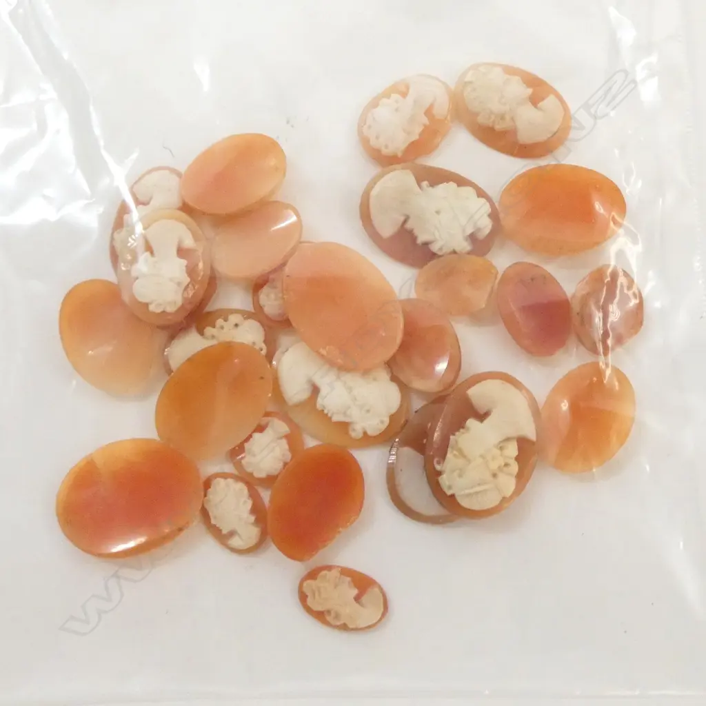 ASST VINTAGE SHELL CAMEOS  Image 1++