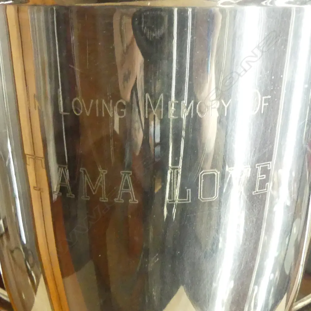 CASED EP TROPHY CUP H415mm Image 1++