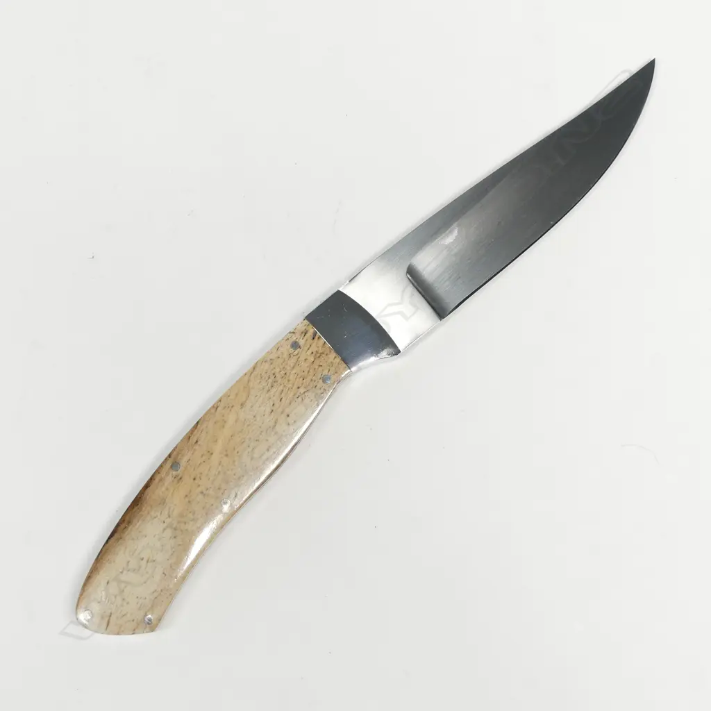 CUSTOM 'DARK WATER KNIVES' KNIFE. BONE HANDLE. L.235mm Image 1++