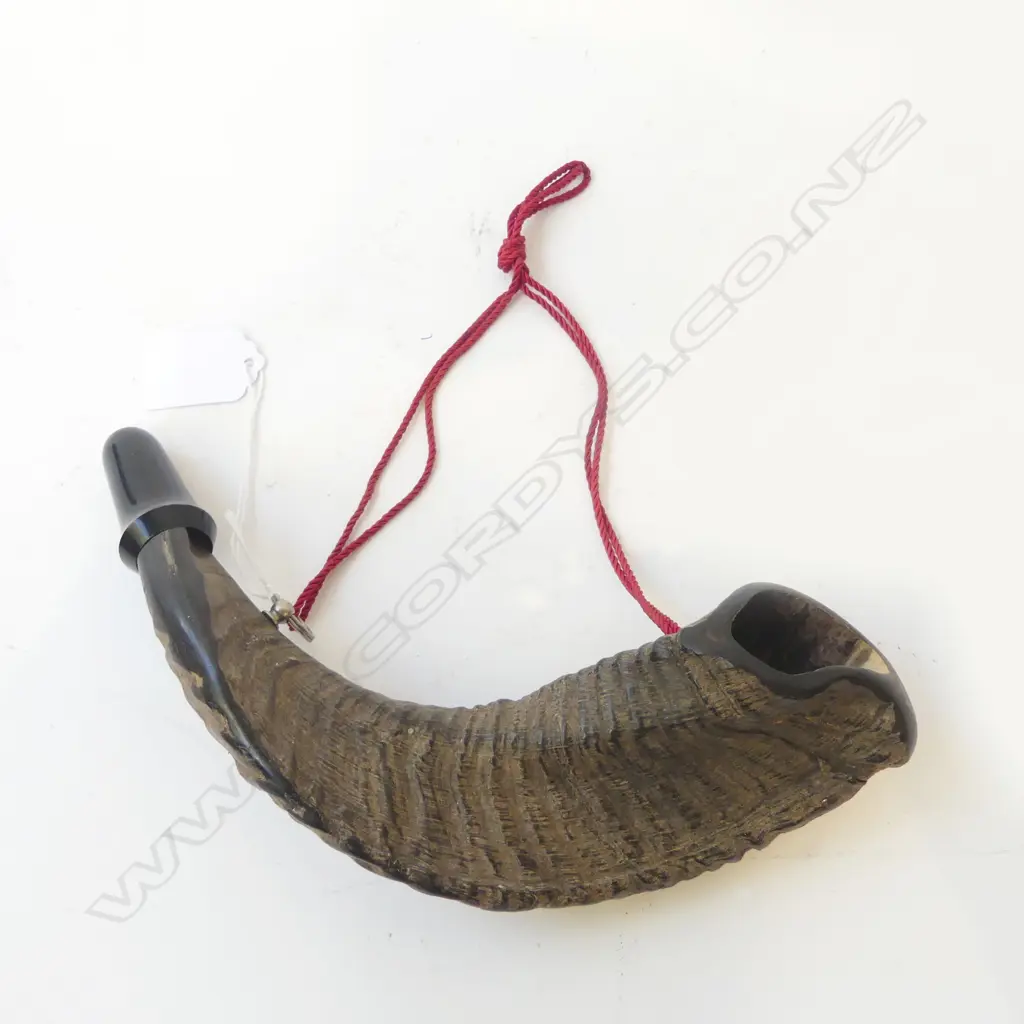 HORN MADE FROM A GOAT HORN L.240mm Image 1++