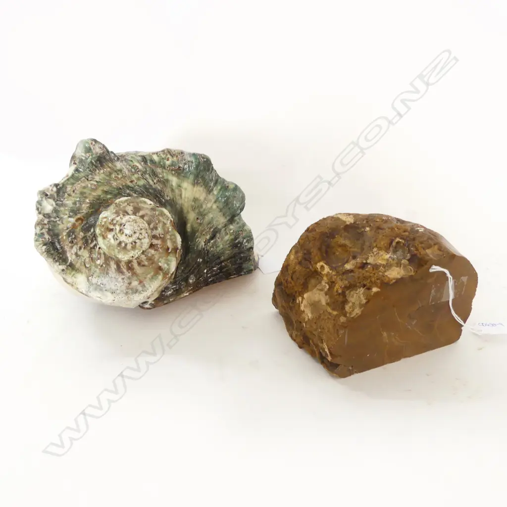 MOP SHELL H.140mm & JASPER SLAB Image 1++