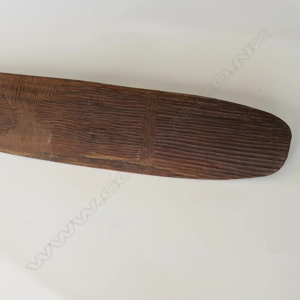 ABORIGINAL SHIELD Image 1++