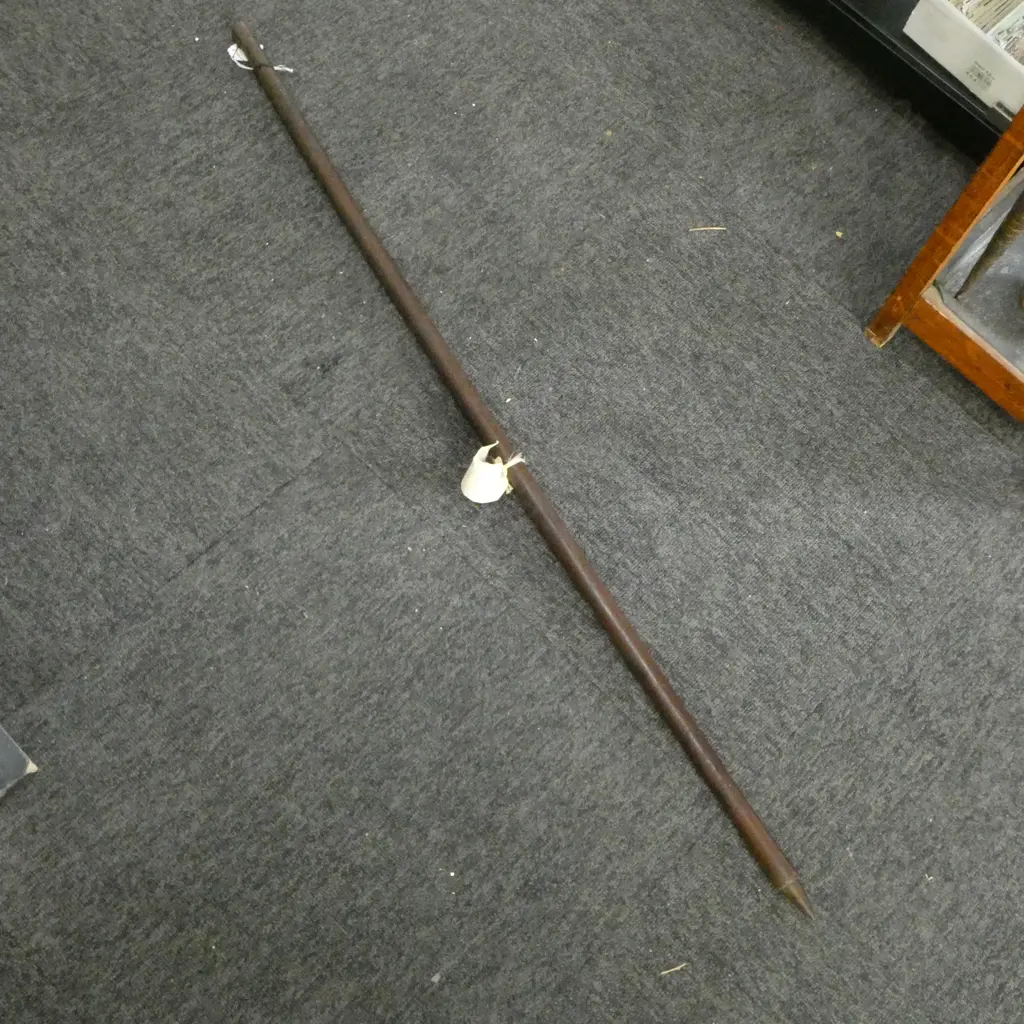 CARVED WOOD WALKING STICK; Afixed label 'custom name - a hu pu walking stick'. L.1100mm Image 1++