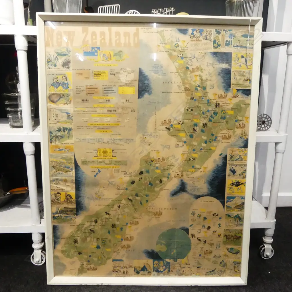 VINTAGE NZ EDUCATIONAL PRINT 940x725mm C.1950s Image 1++